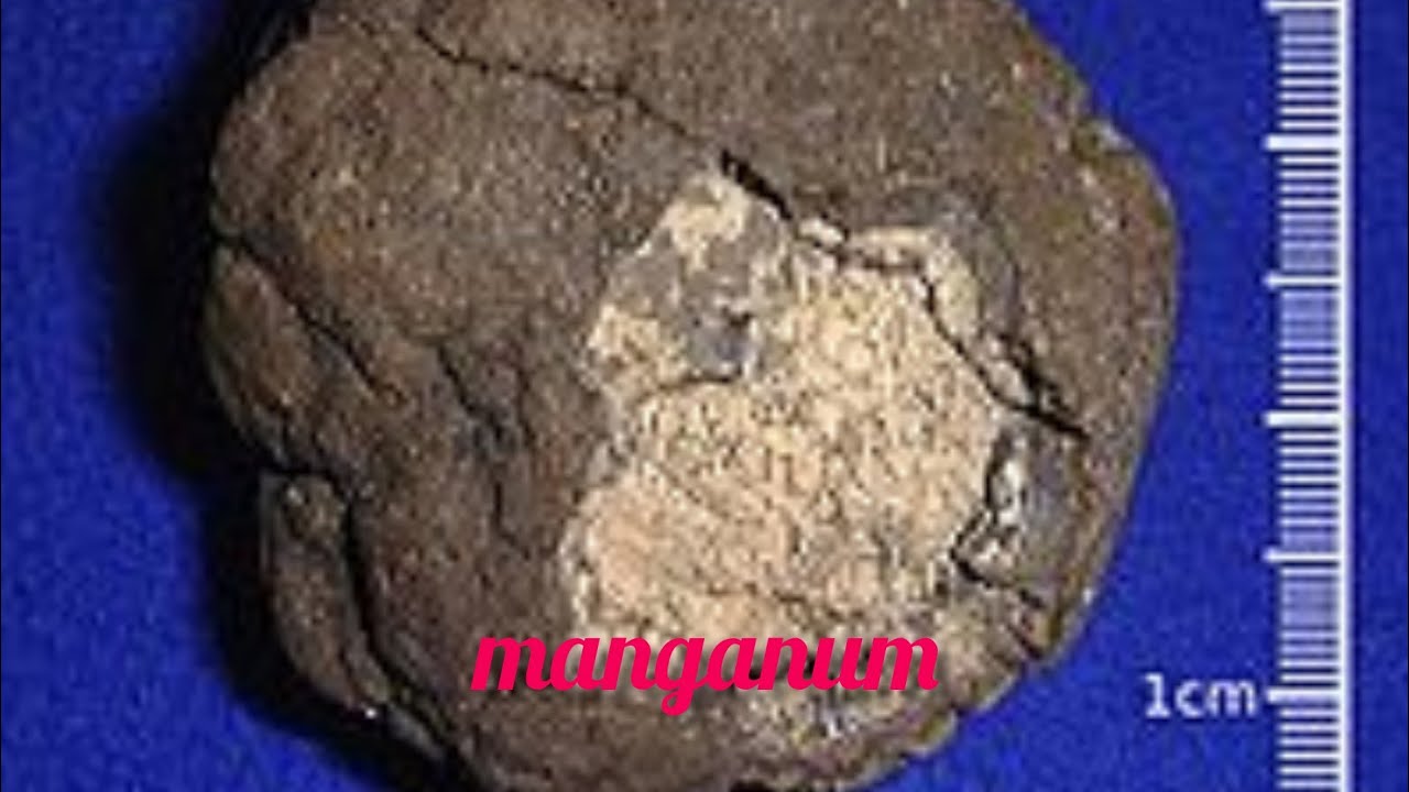 MANGANUM ACETICUM #MATERIAMEDICAPURA #CHRONICMIASM