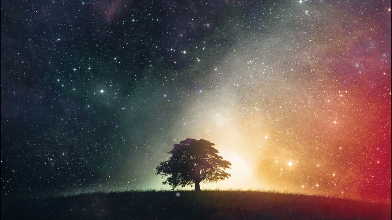 Midnight Signal Radio 🌙 1 Hour Late-Night Lo-Fi | Calm Beats for Night Thinkers