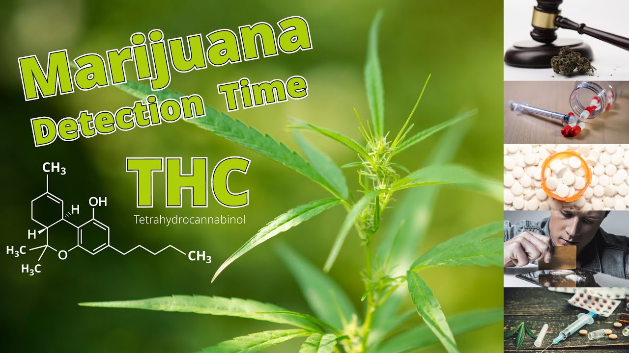 What's The Longer Marijuana Detection Time In Urine Versus Saliva Tests?