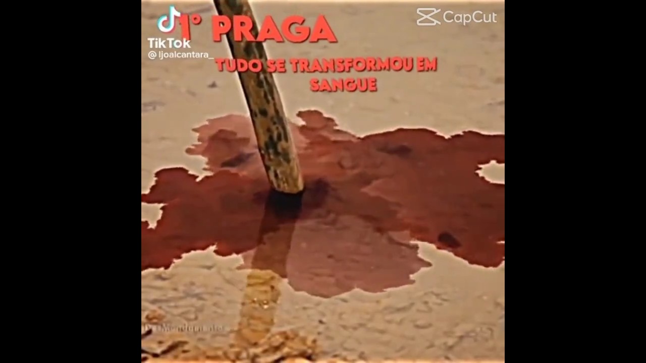 as 10 Pragas do Egito (vey, é so eu q amo essa música das 10 Pragas do Egito ??)