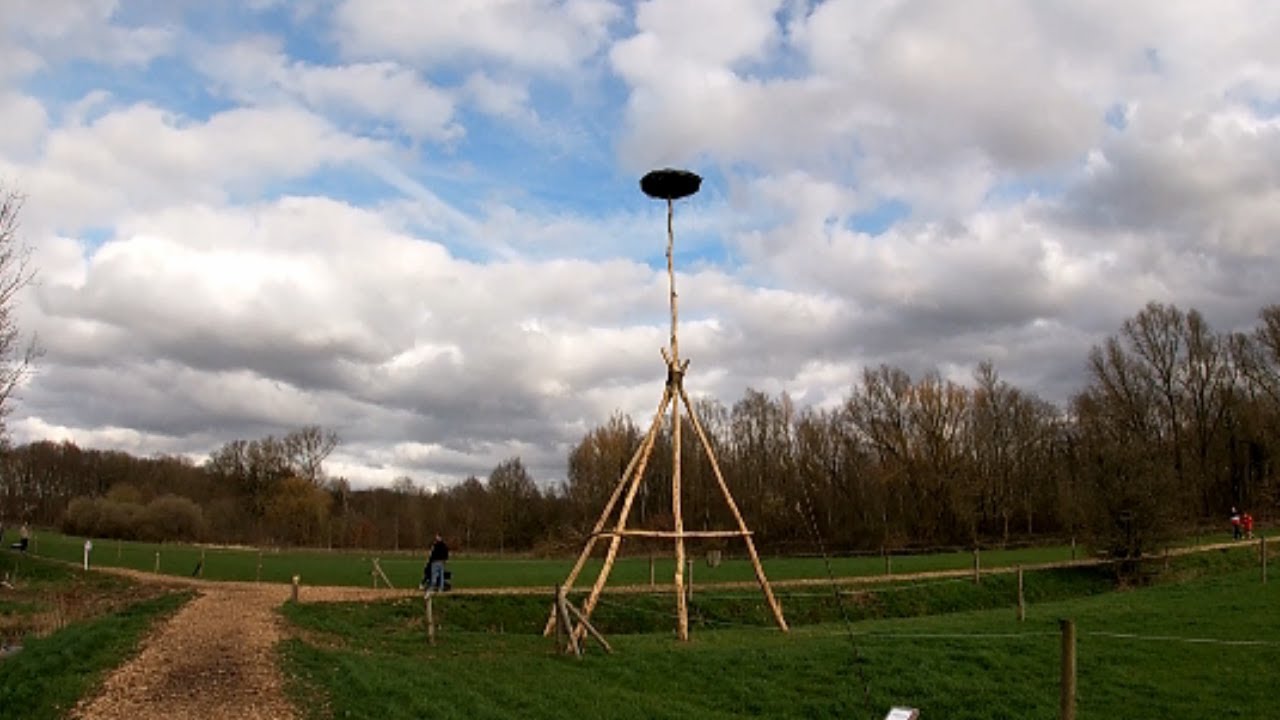 Het ooievaarsnest in de Wilgernis in Mechelen in de regen en in de zon