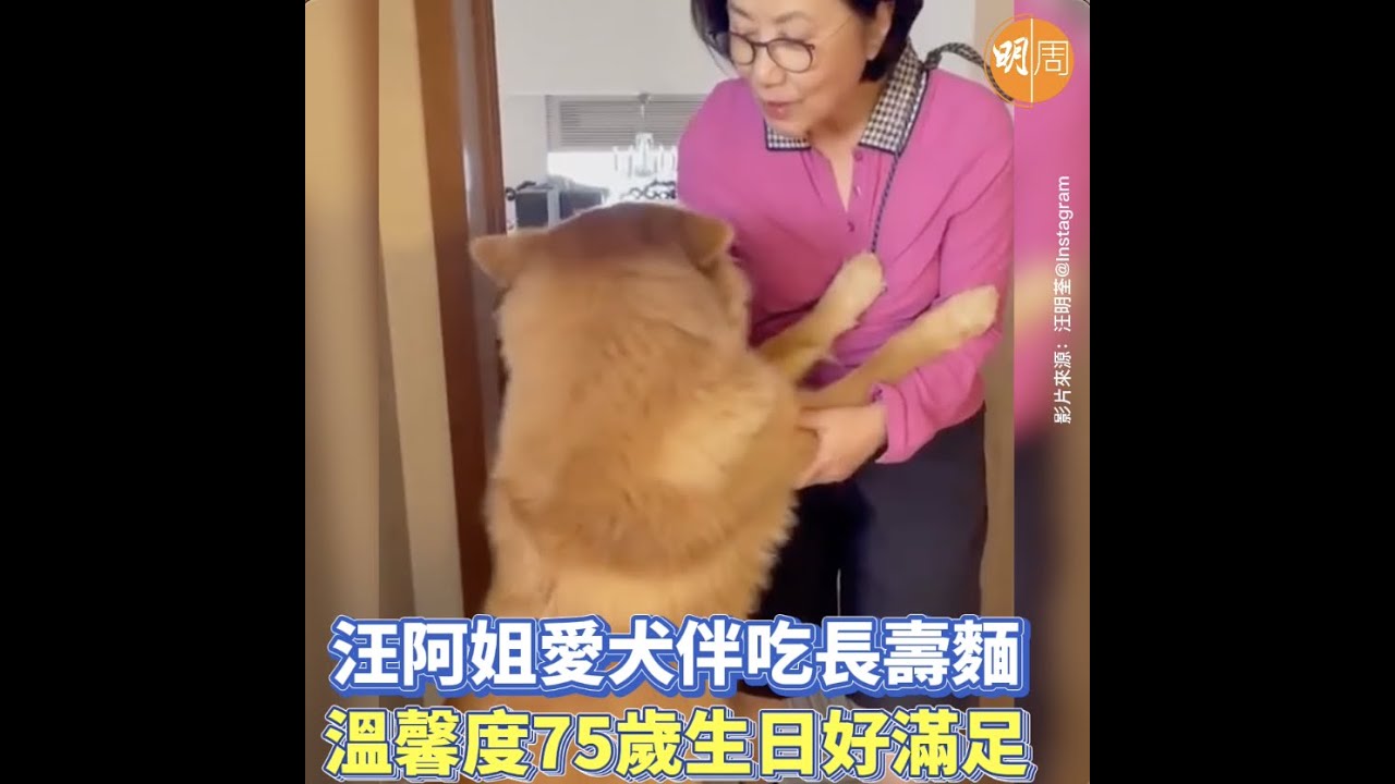 汪阿姐愛犬伴吃長壽麵 溫馨度75歲生日好滿足
