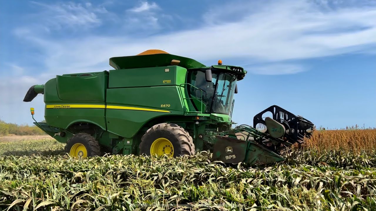 La Ultima trilla de Sorgo 6 Toneladas X Hectárea
