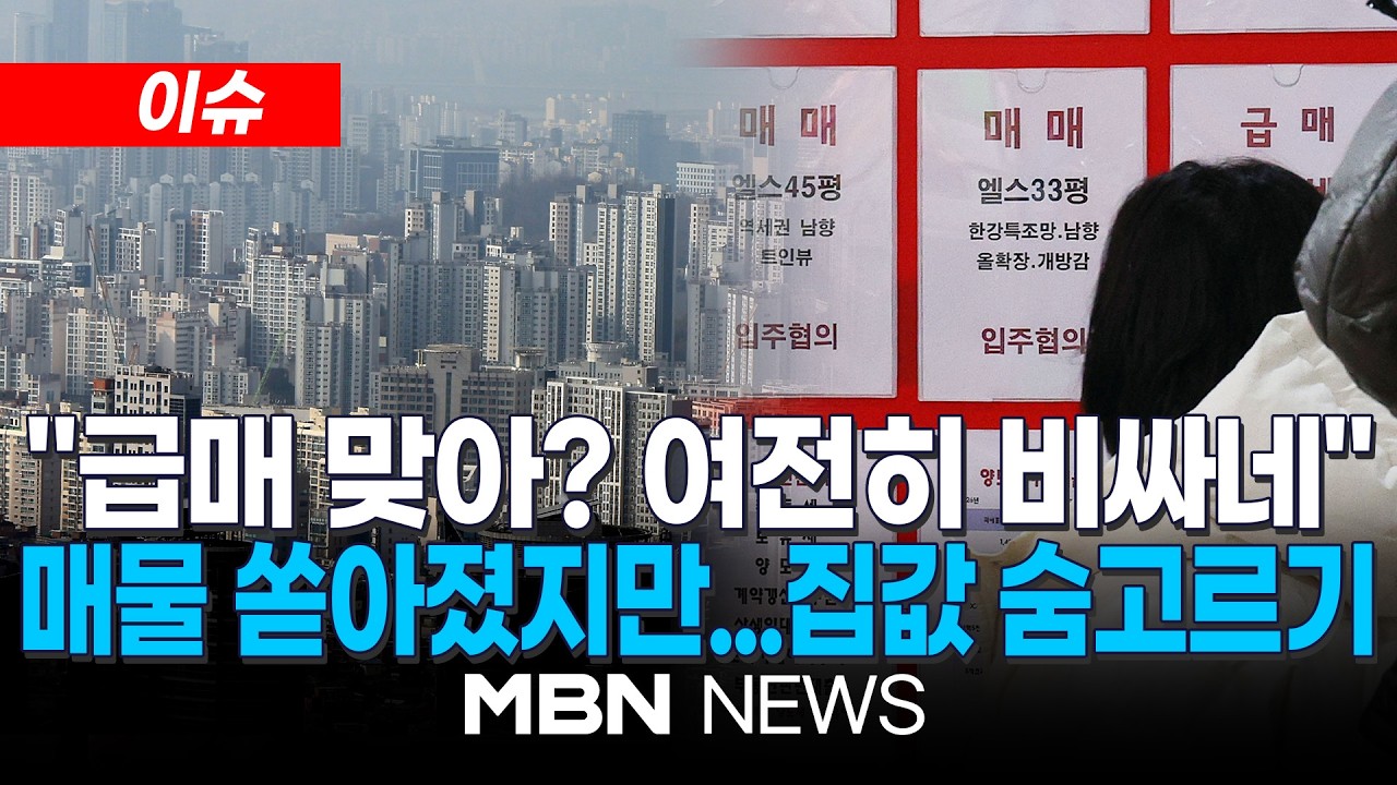 [이슈] 서울 아파트 매물 급증...이 대통령 '강경 메시지' 통했나? / 급매물 기대에 주말 임장 나선 2030 | MBN NEWS