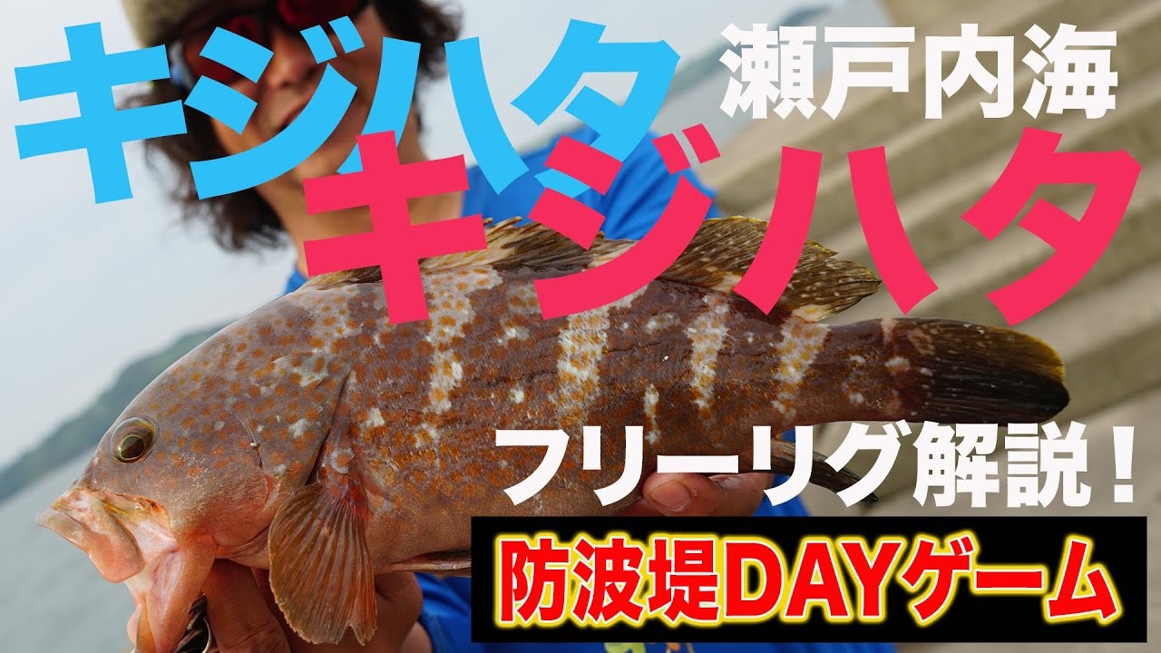 【デイゲームアコウ】爆風のロックフィッシュ。高難度のデイゲームをどう攻略するのか？最後に嬉しい外道も。【地球遊び#117】