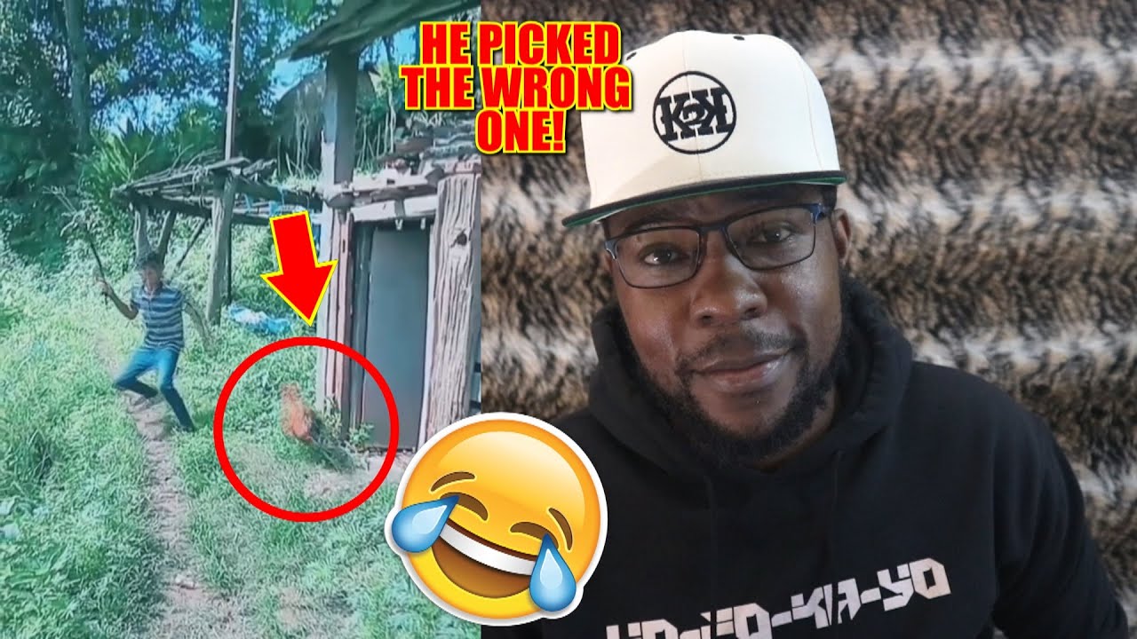 He Played With The Wrong Rooster! [K2KShorts]