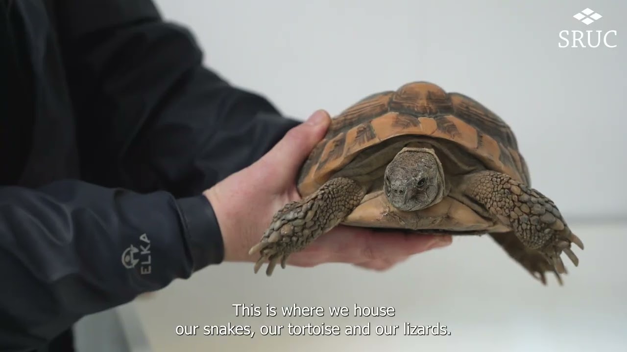 SRUC Aberdeen Animal Care Unit Tour