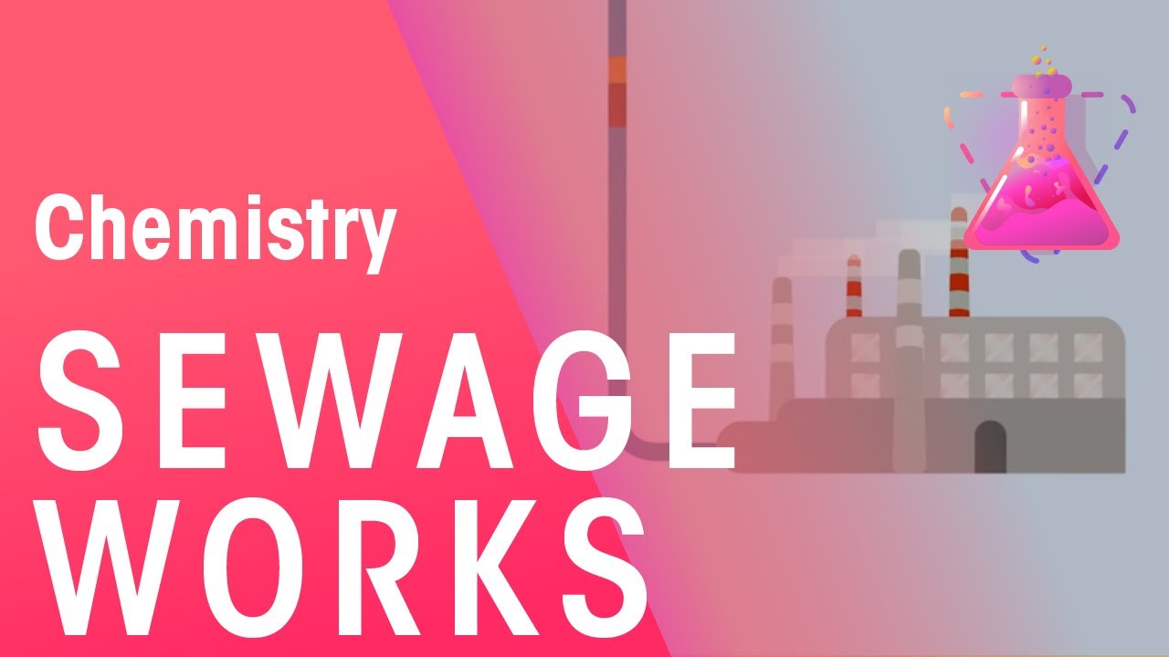 How Is Water Treated In Sewage Works | Environmental Chemistry | Chemistry | FuseSchool
