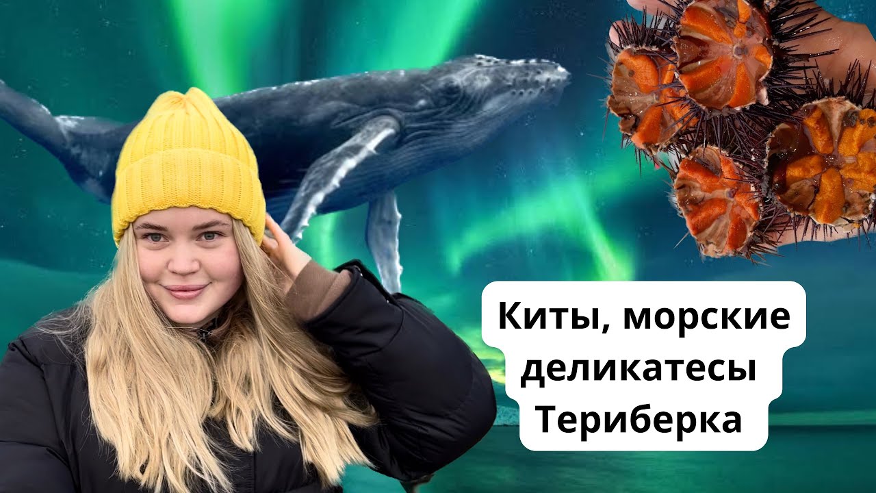 Путешествие за полярный круг 
