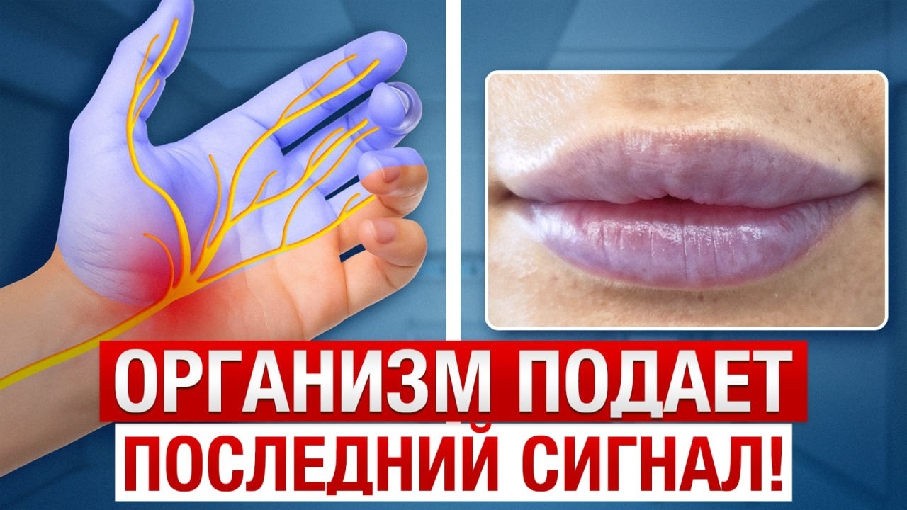 ОПАСНЫЕ неврологические сигналы организма! / Почему немеют губы, кончик языка и носа?