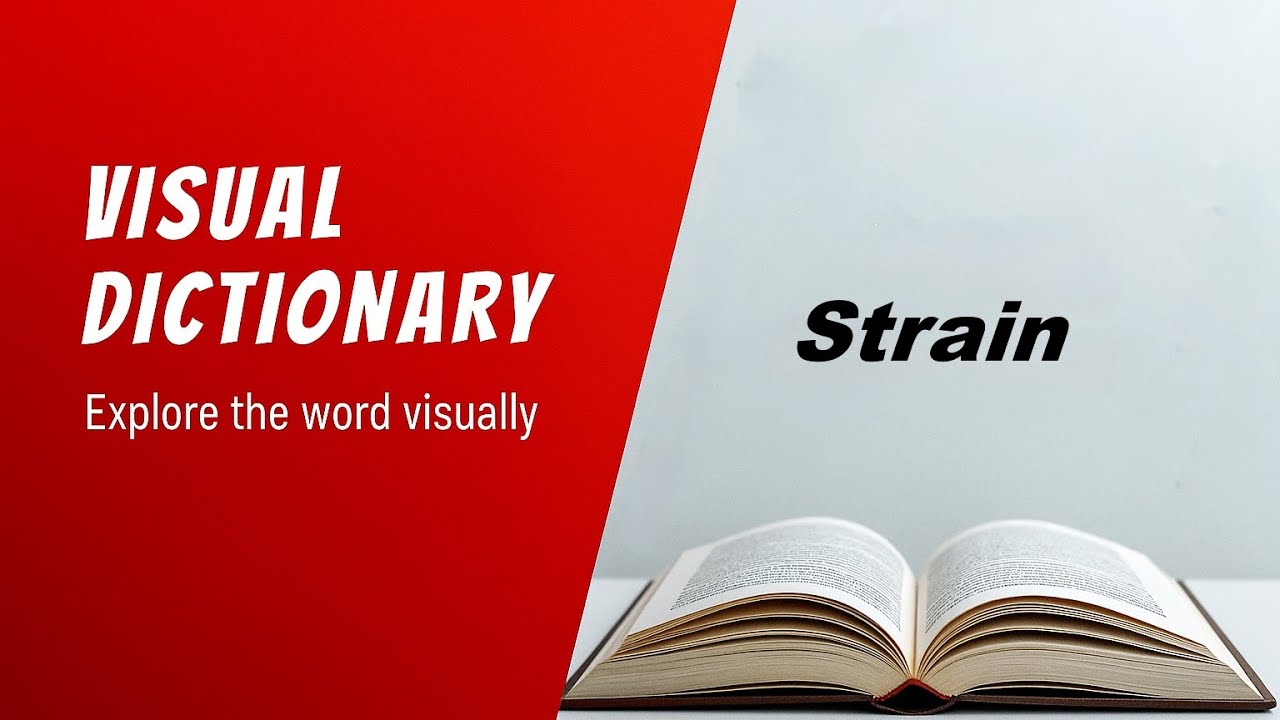 Strain Meaning | Strain Definition | Strain Pronunciation | Visual Dictionary