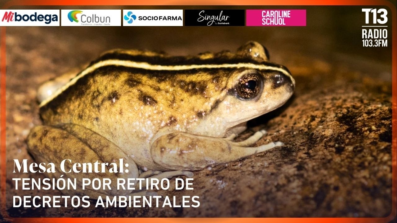 Tensión por retiro de decretos ambientales