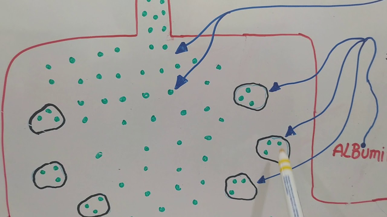 farmacocinética y farmacodinamia de los AINES por vía oral