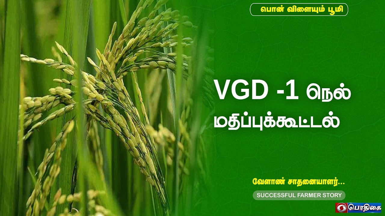 VGD-1 நெல் மதிப்புக்கூட்டல்  | Successful Farmer Story