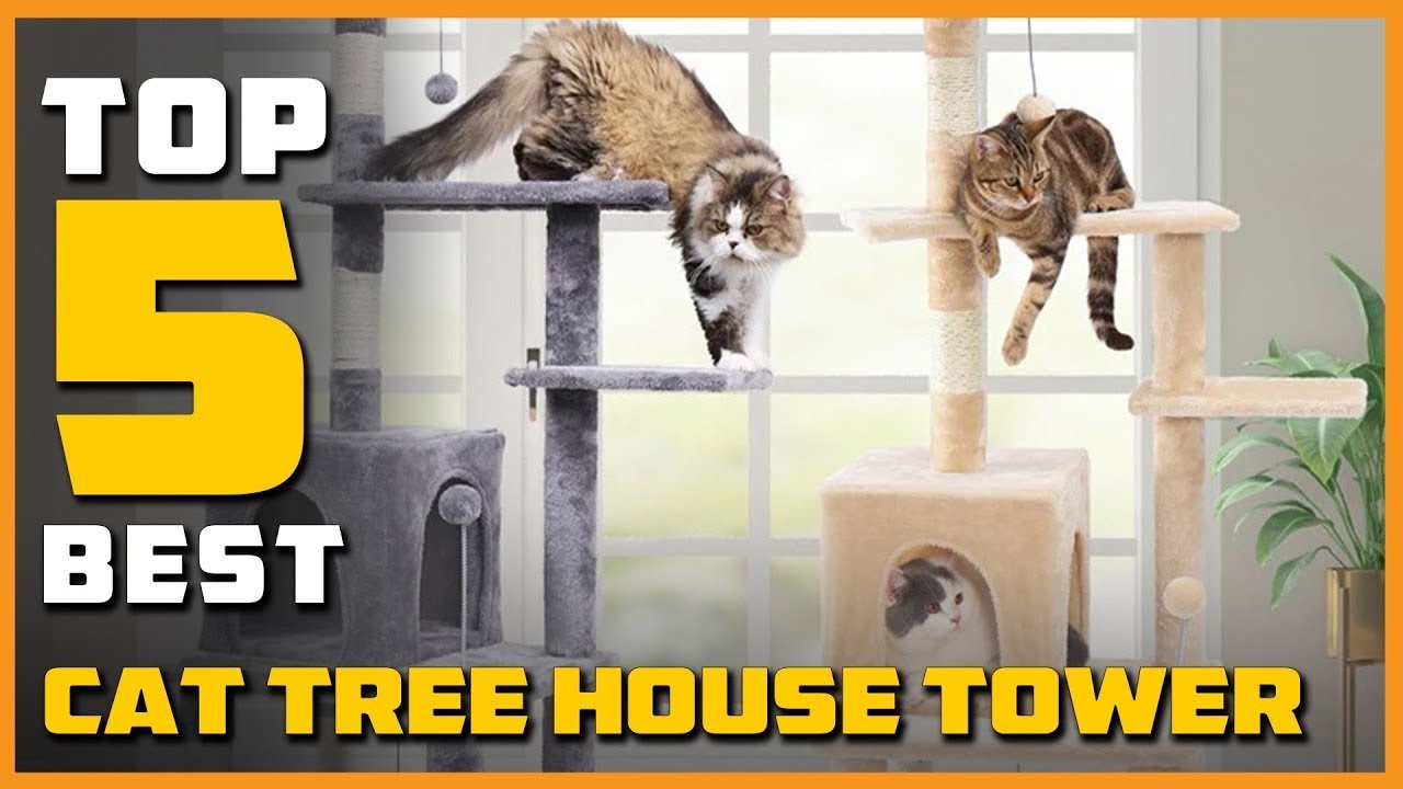 Top 5 Best Cat Tree House Tower on On Aliexpress
