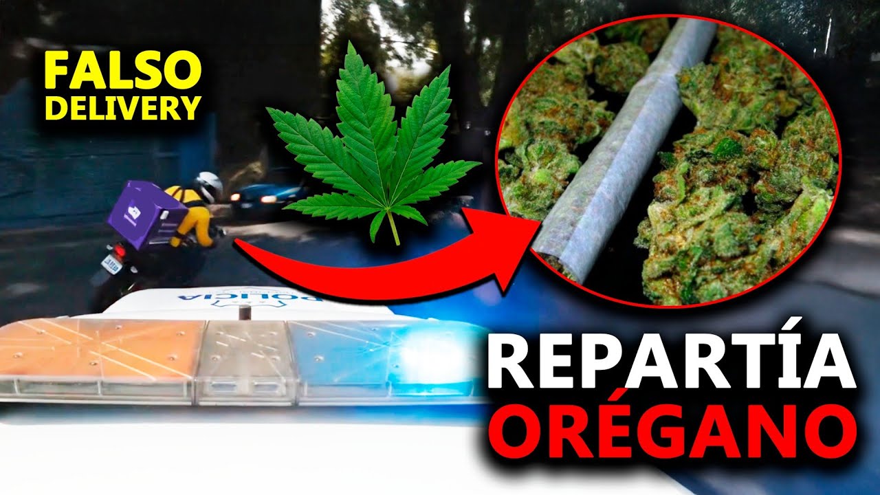 Atrapan a falso “delivery” con encargos de María Juana