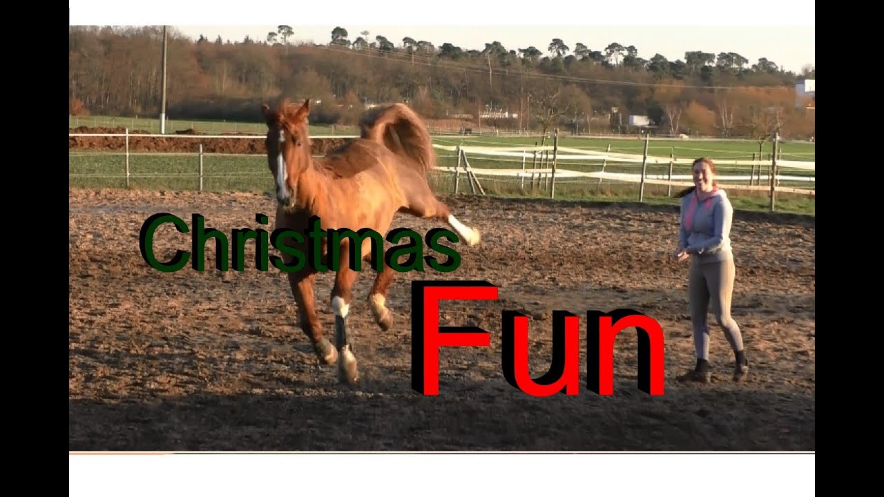 We wanna wish you a Merry Christmas!