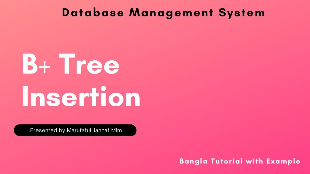 B+ Tree Insertion | Database Management System (DBMS)