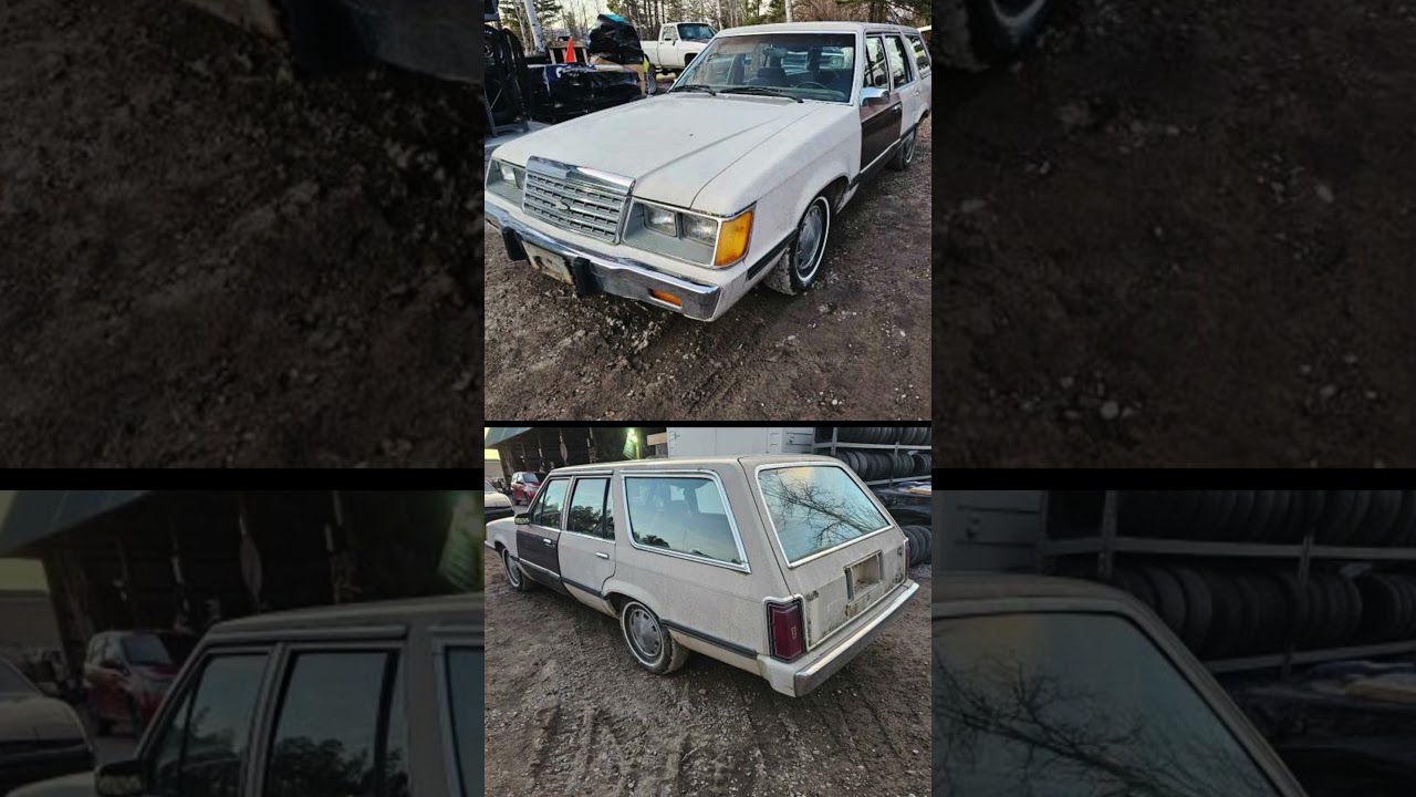 1985 Ford LTD Fox body wagon project. 
