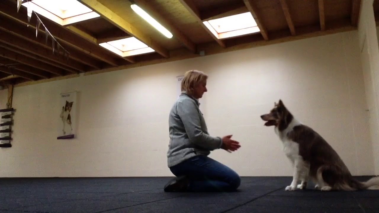 Freestyle training A'Mayzie november 2018