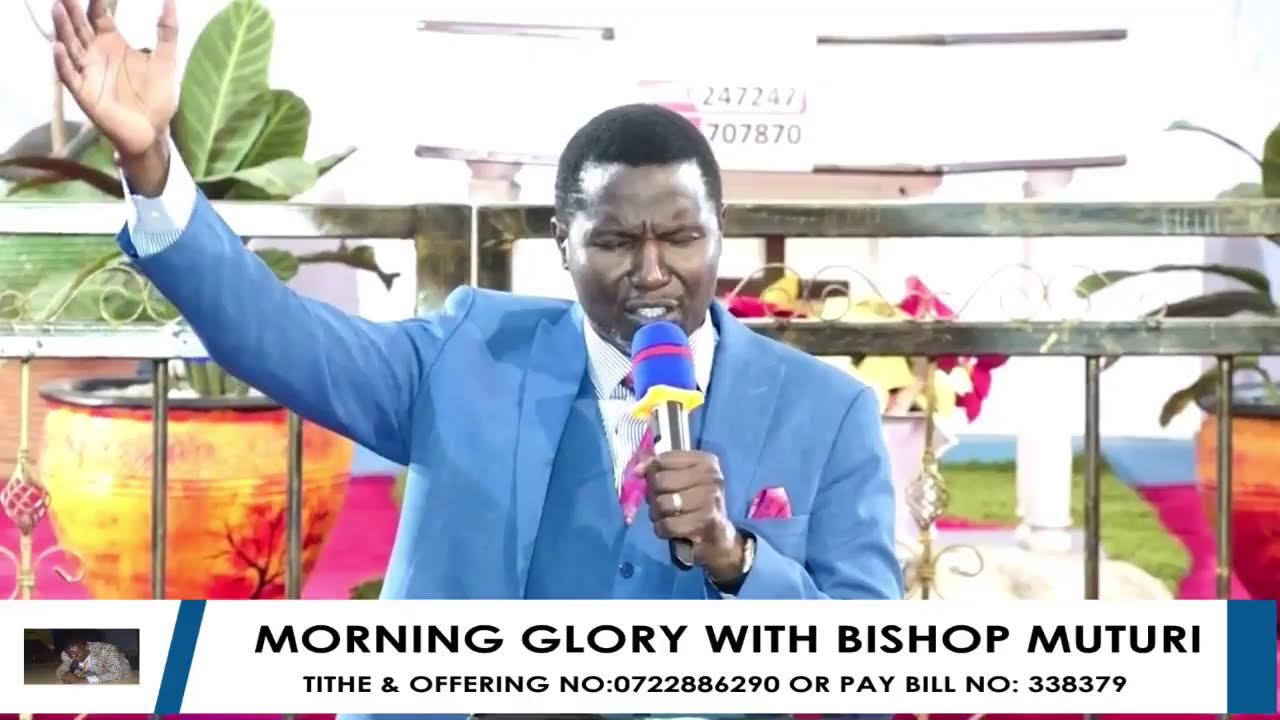 MORNIRNG GLORY