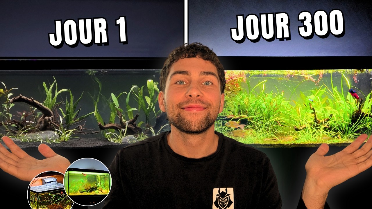 Comment mes 3 aquariums ont totalement changé...