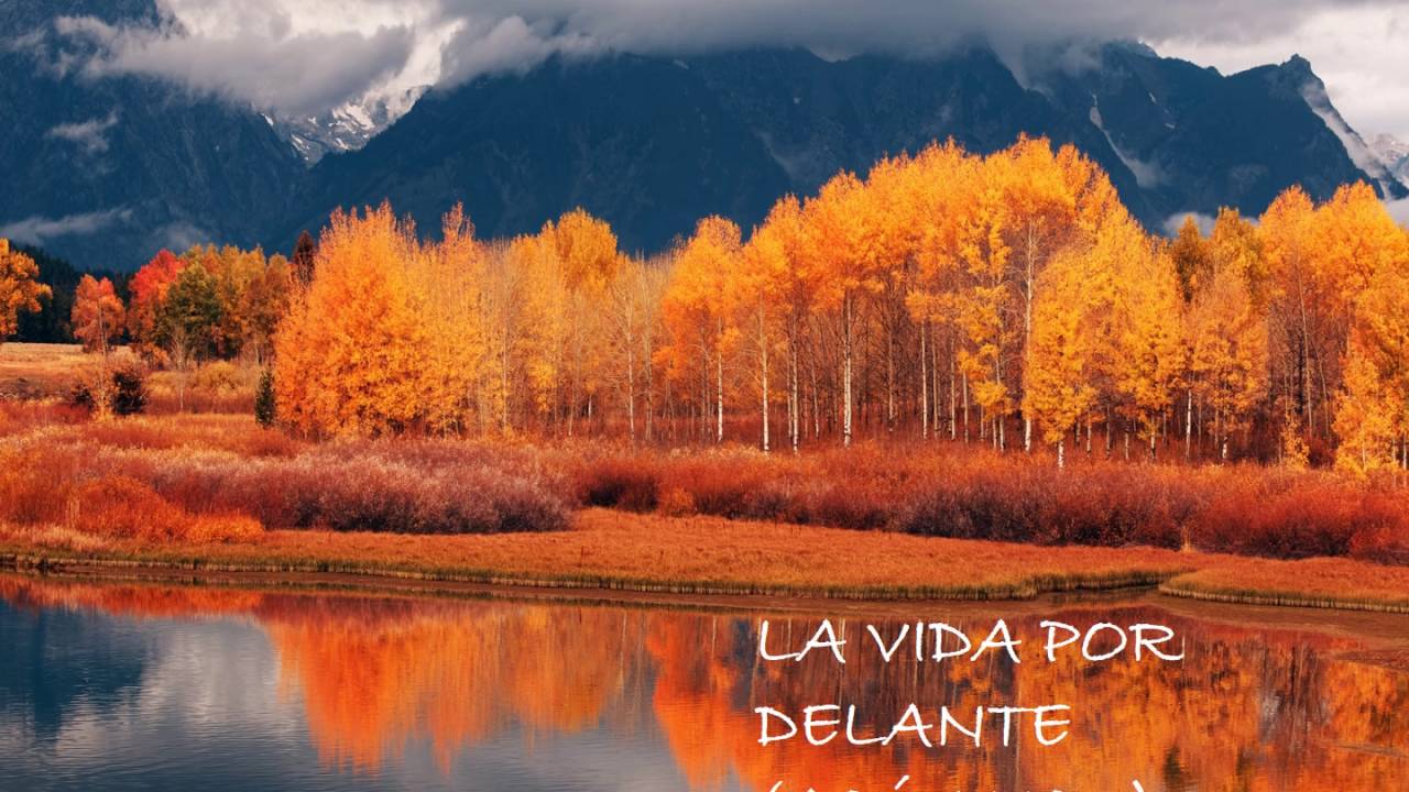 Manolo Tena - La vida por delante (Ac&uacute;stico) (Casualidades)