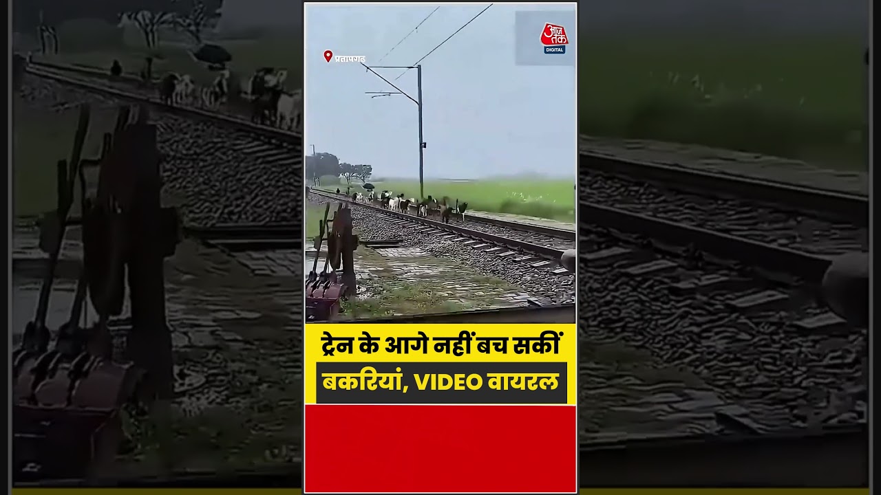 तेज रफ्तार ट्रेन के आगे नहीं बच सकीं बकरियां, VIDEO वायरल | #TrainAccident #ViralVideo #Animal