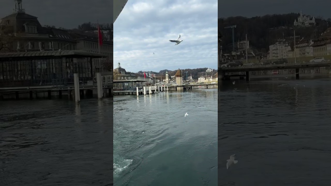 SGV MS Diamond Luzern Cruise on Lake Luzern Vierwaldstättersee 