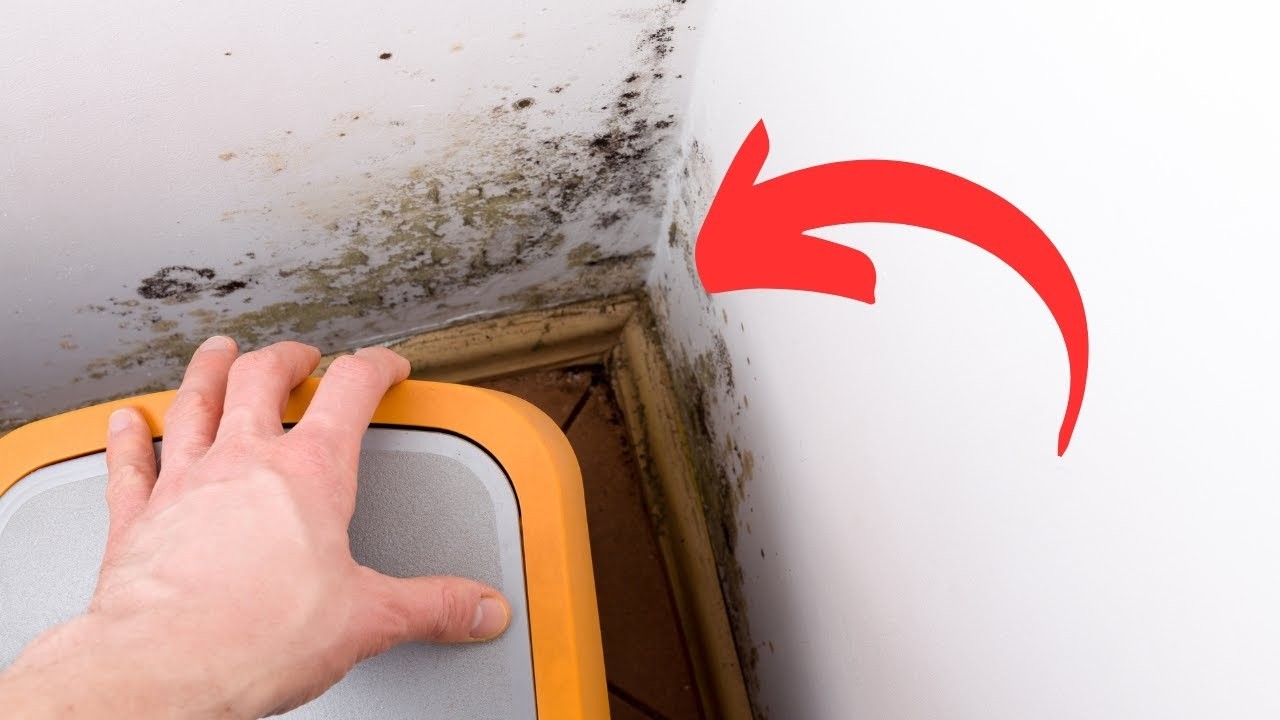 No More Mold on Windows – Try This Easy Hack
