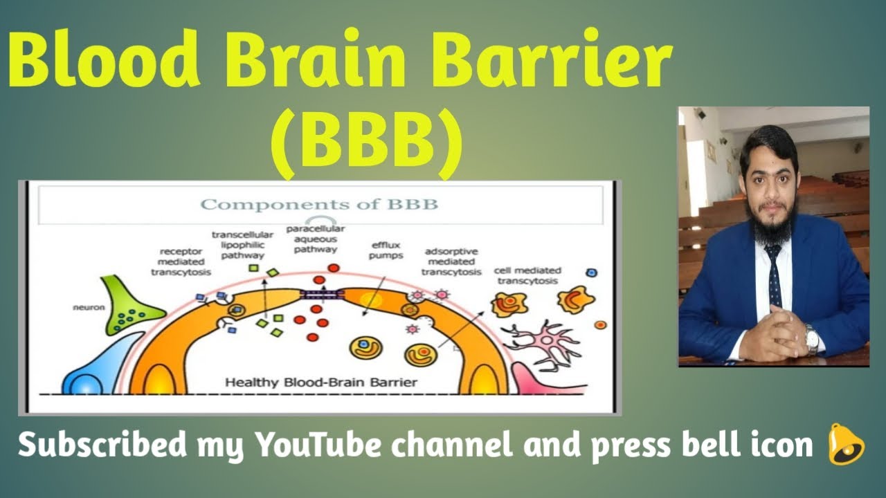 Blood-Brain Barrier |BBB| Components, Types |Pharmacy's Dictionary|@PharmacistTayyebOfficial
