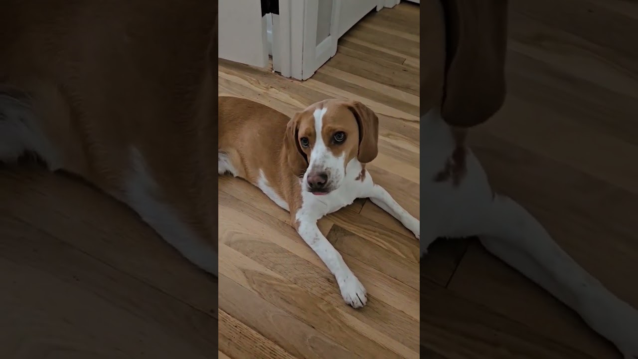 outside the bathroom door