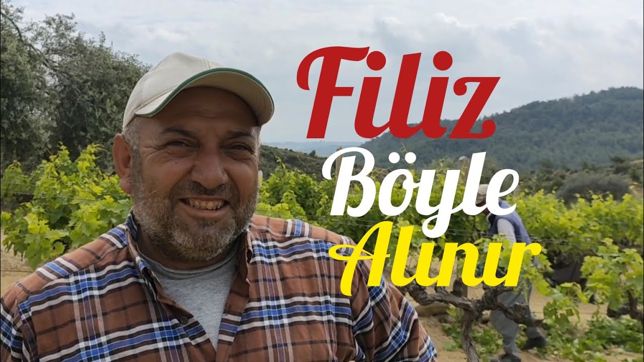 Filiz b&ouml;yle alınır-Bağda dağda gezmek-Kır &Ccedil;i&ccedil;ekleri