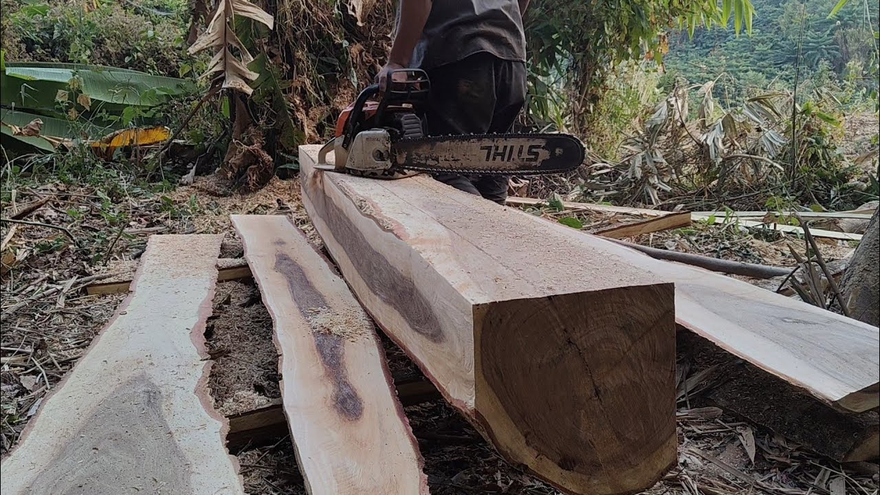 Skills in making beautiful wooden into block size 7.5cm × 10cm × 210cm with a chainsaw