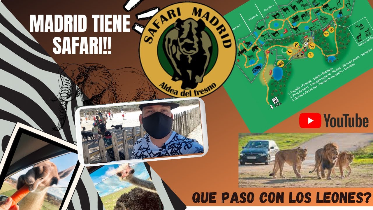 🐯🦓 Que hacer en [Madrid España] - SAFARI Madrid que animales hay / Safari MADRID aldea del fresno🐊