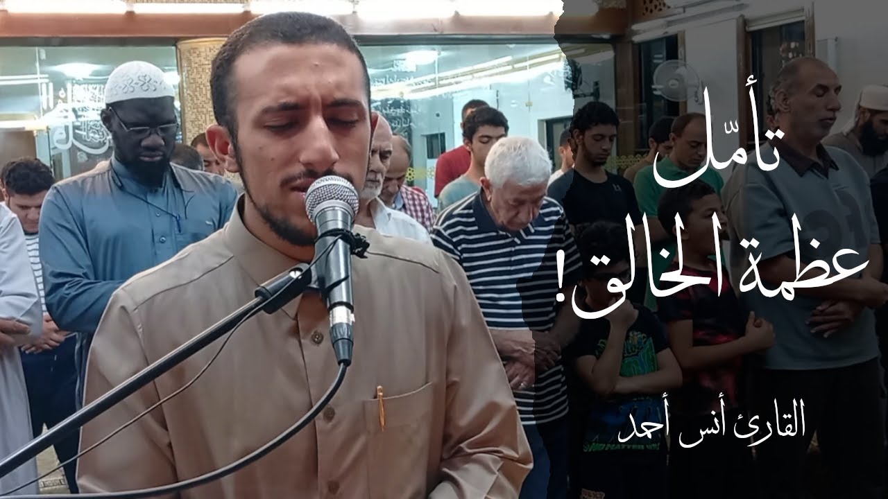 استمع لهذه العشائية البديعة من سورة الفرقان 🤍| القارئ أنس أحمد
