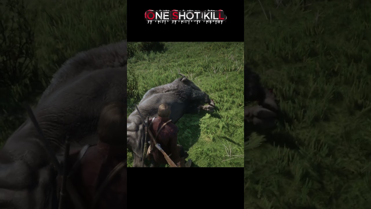 RDR2 Legendary Bison Hunt | Perfect Kill 