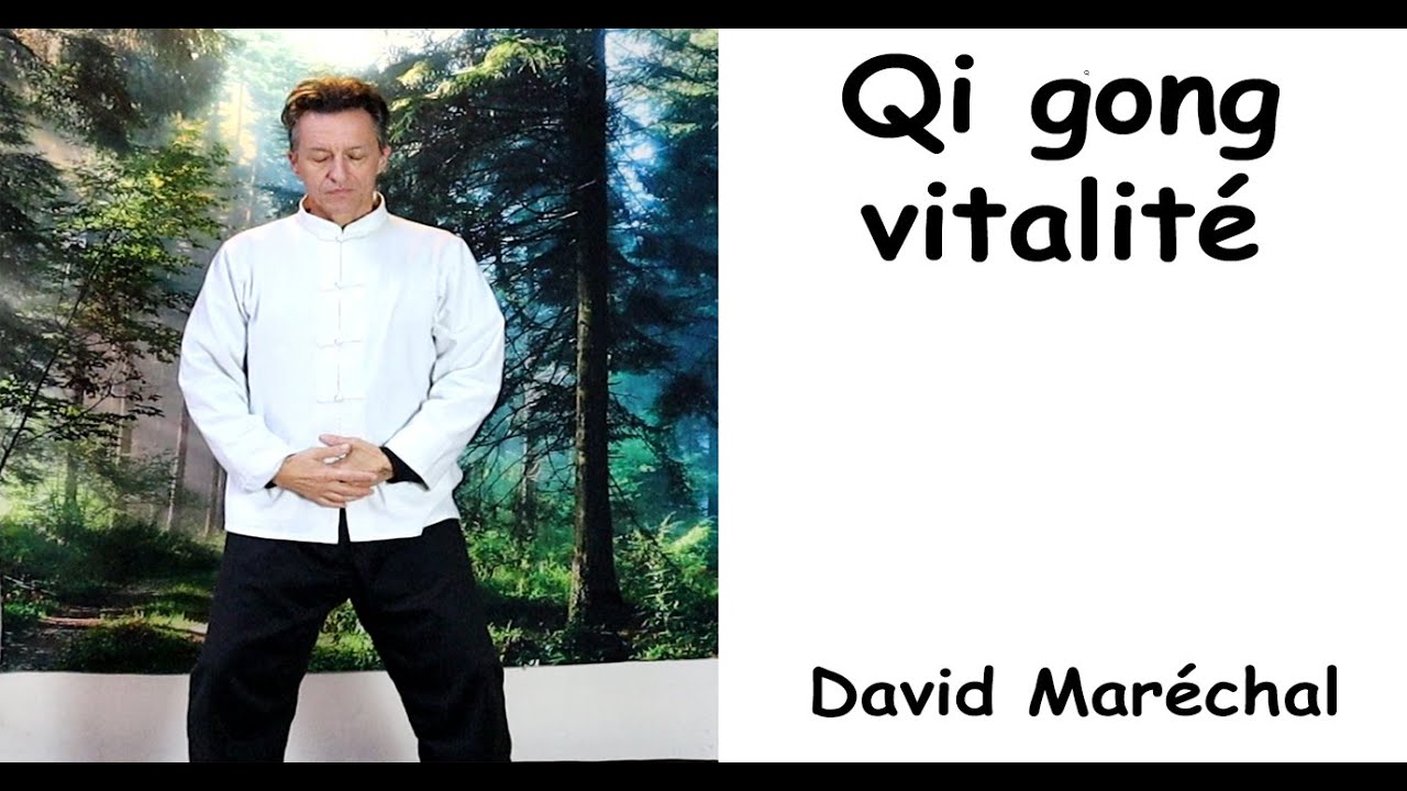 Qi gong vitalit&eacute;