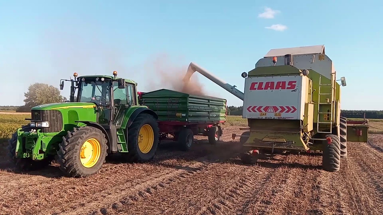 Żniwa 2019 - Claas Dominator Mega 204 bonek111