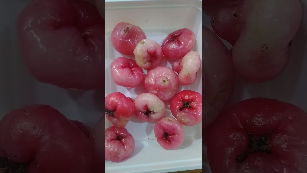 chambai kai // water Apple //Beat it //Michael Jackson //@avrhealthylife863