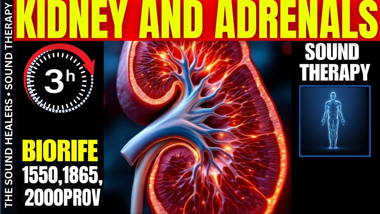ADRENAL FATIGUE - KIDNEY DETOX - LYMPHATIC FLOW SUPPORT - SOUND THERAPY - REIKI - ENERGY HEALING
