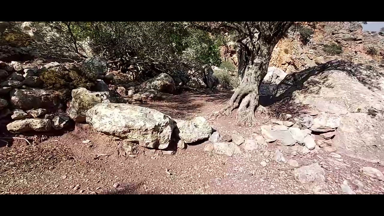 Zakros Gorge, Crete, 12.11.2025 part 1