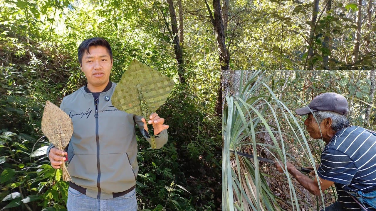 ✅️Aprendimos a realizar los sopladores artesanales de palma de la sierra de oaxaca
