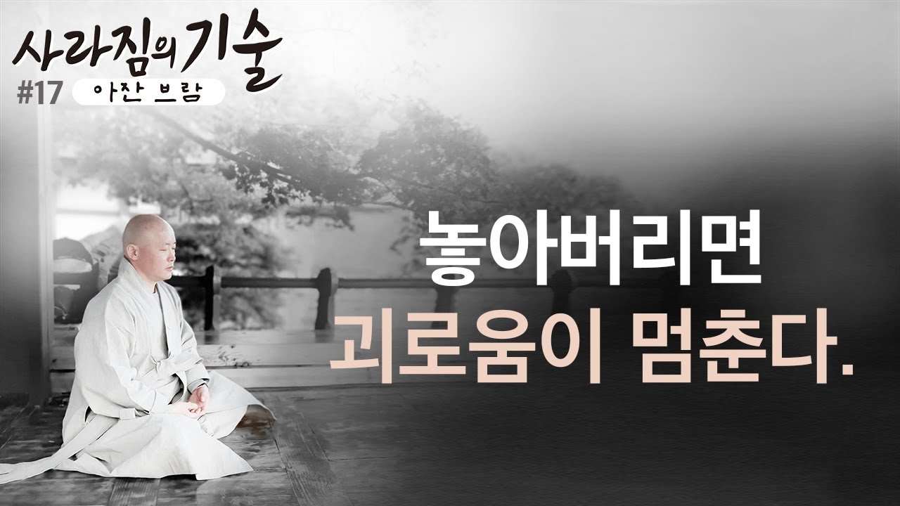 (17강) 놓아버리면 괴로움이 멈춘다. 번뇌를 멈추는 마음챙김 명상ㅣ사라짐의 기술ㅣ혜안스님