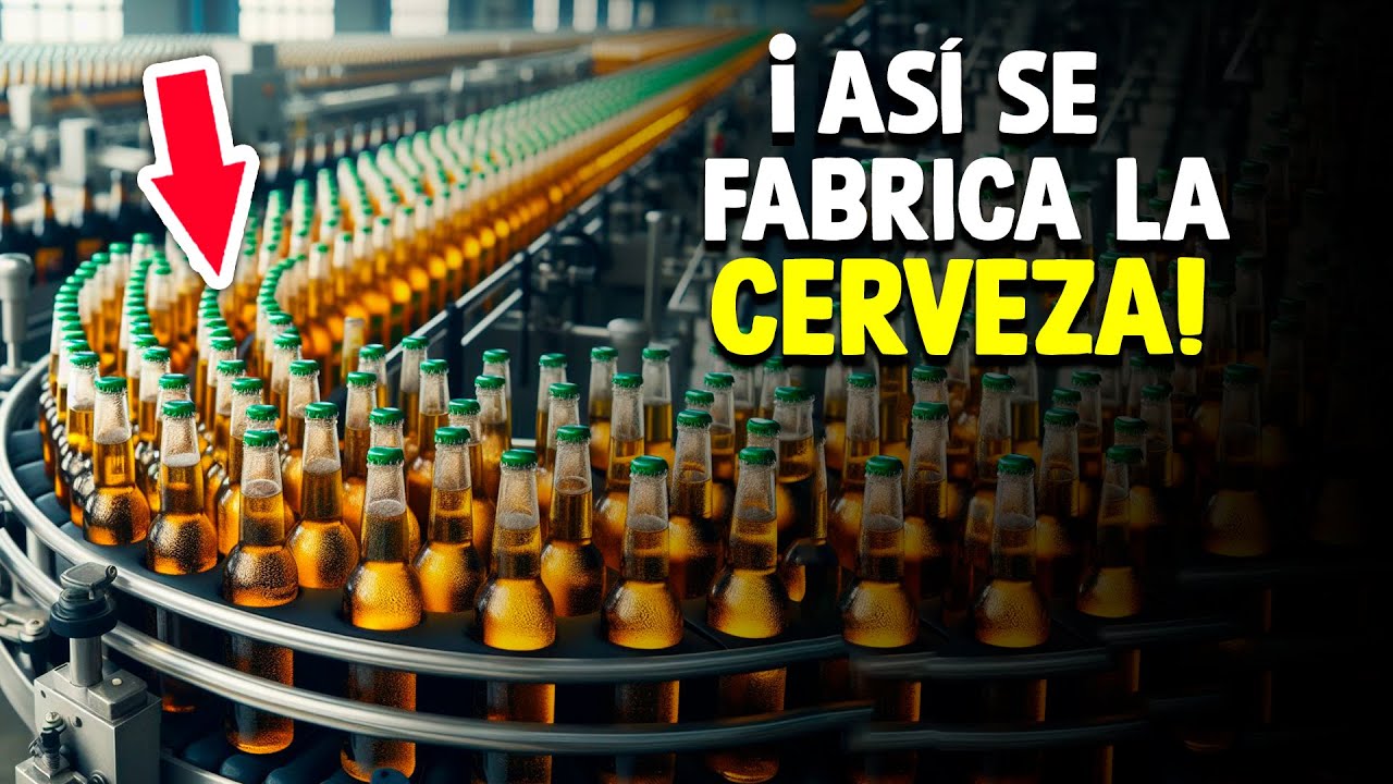 &iquest;C&oacute;mo Se Hace La Cerveza? [Proceso En F&aacute;brica]