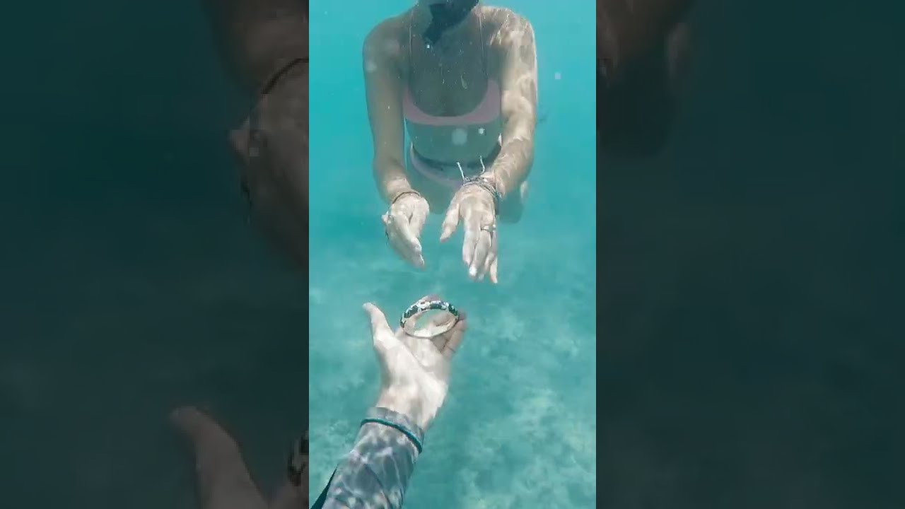 Diver Finds Human Remains at Tourist Beach #shorts