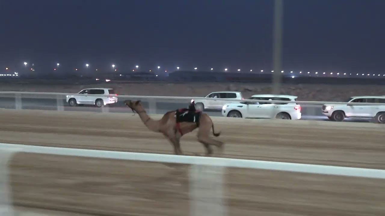ش2 قعدان مشركات 2ك العديد ل محمد محسن جابر ال جمعان 3:01:22 12/8/2023