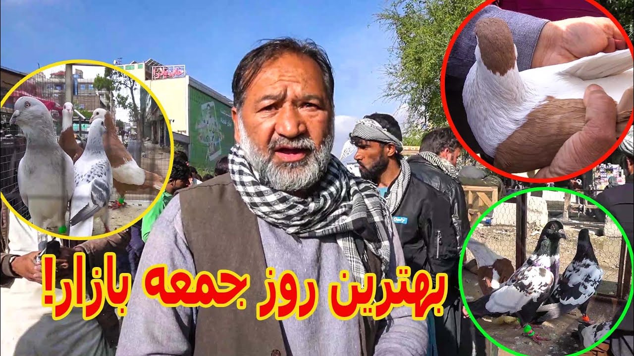 جمعه بازار کابل، کوچه کاه فروشی friday pigeon bazaar in kabul Afghanistan
