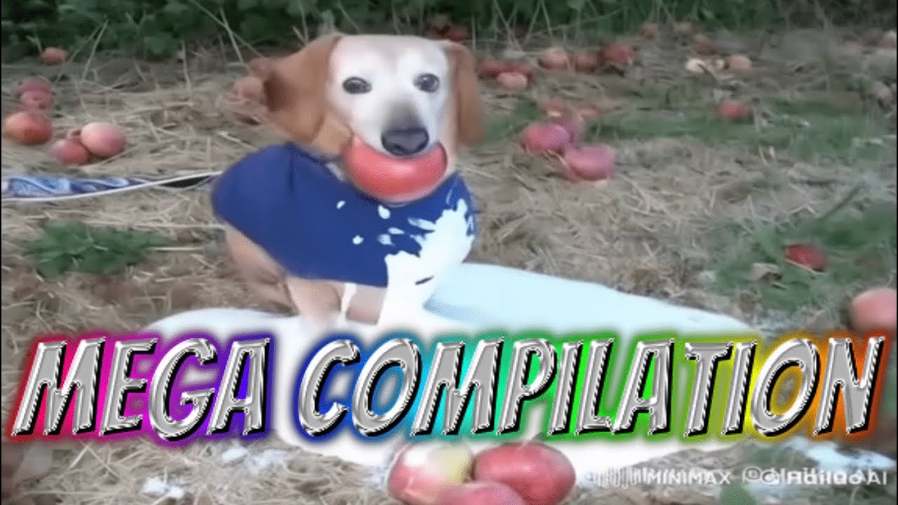 Apple Dog AI Tiktok Memes MEGA Compilation