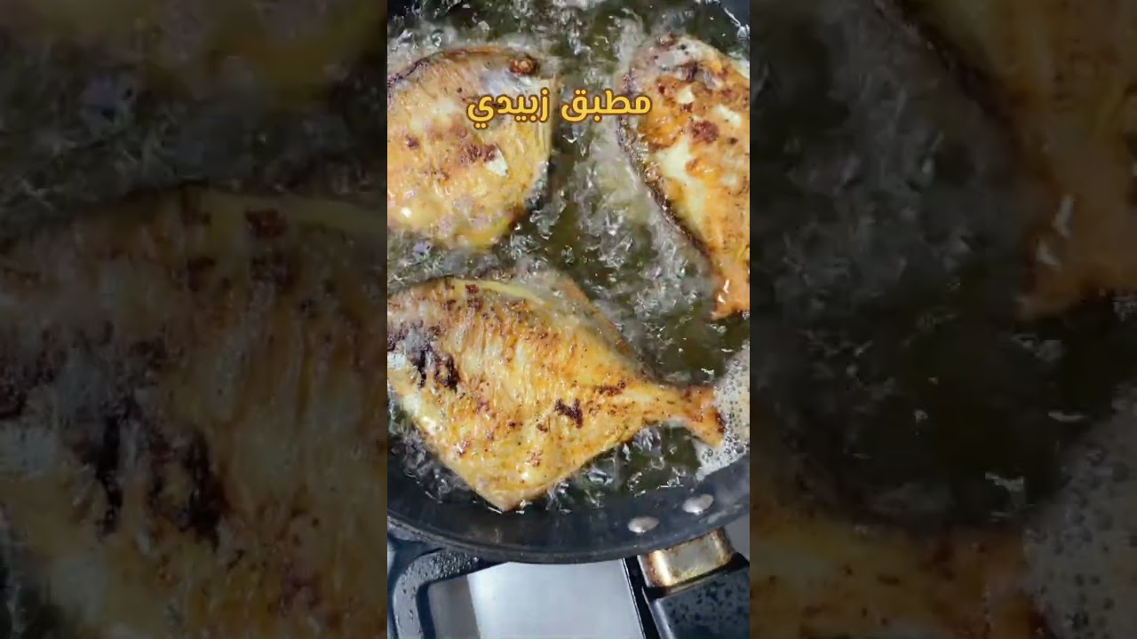 مطبق زبيدي 